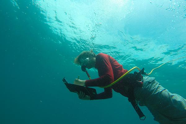 A student completing research underwater.